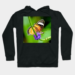 Common Lacewing Butterfly Hoodie